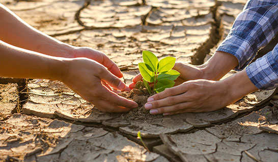 cambio-climatico