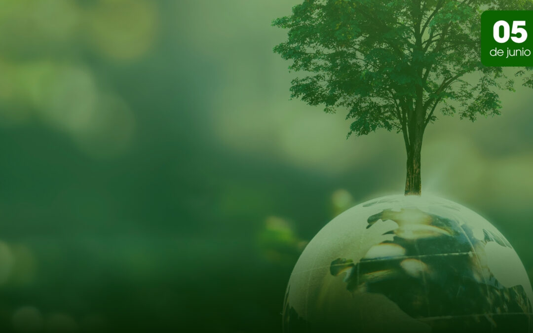 DÍA MUNDIAL DEL MEDIO AMBIENTE | 5 DE JUNIO