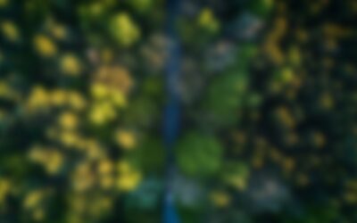 Colegio de Geógrafos del Perú anuncia convocatoria oficial al Proceso Electoral 2025 para elegir al Consejo Directivo 2026–2027